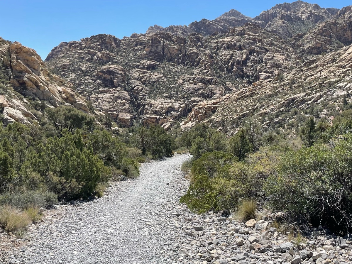 Nomadic Living Chapter Four